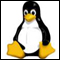 Linux e l'open source
